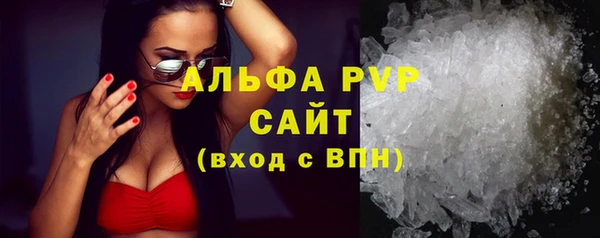 гашик Гусев