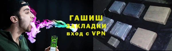 гашик Гусев