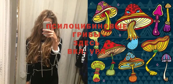 дурь Приозерск